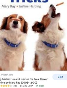 Dog Tricks by Mary Ray & Justine Harding